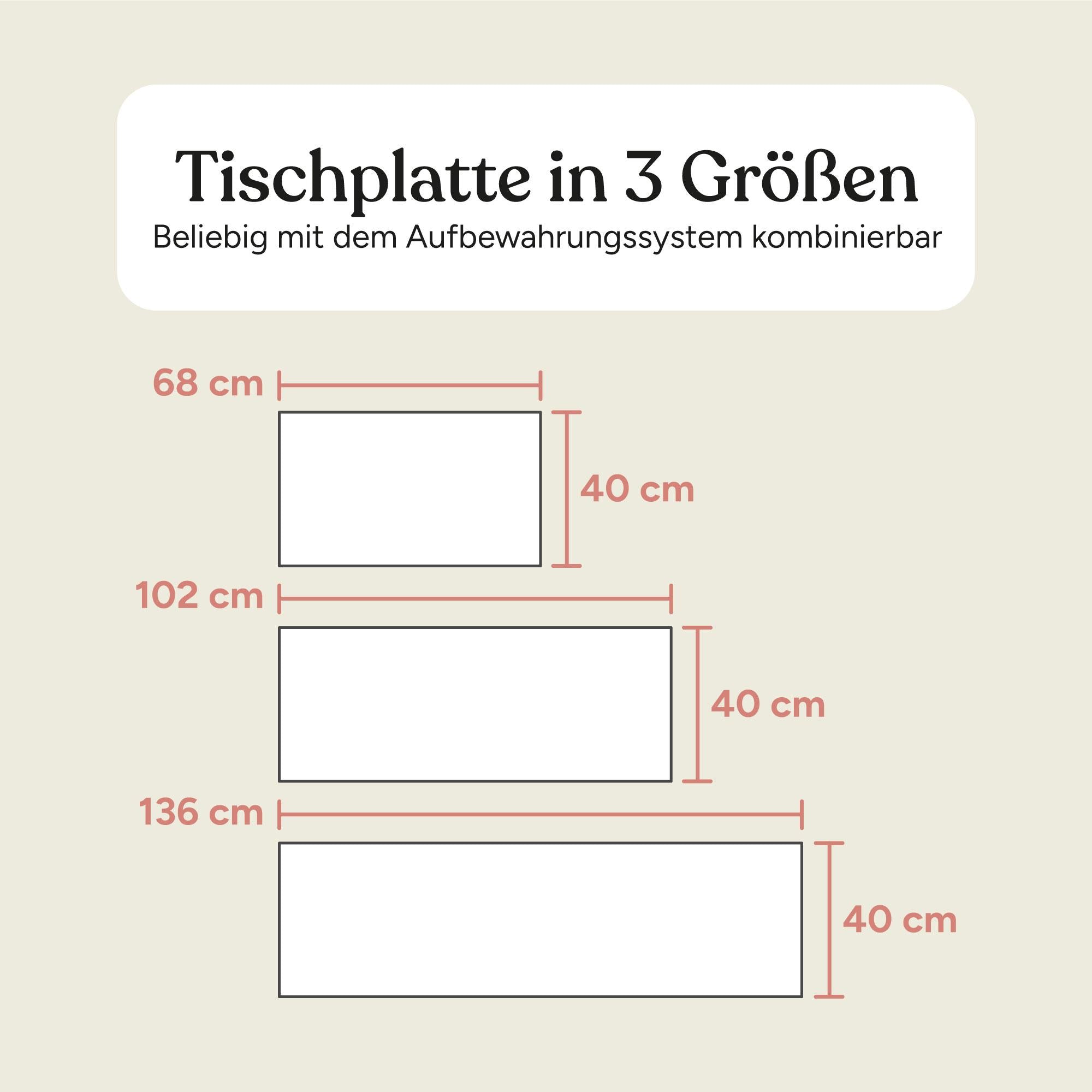 Tischplatte Aufbewahrungssystem | Kiefer Natur | 102 cm