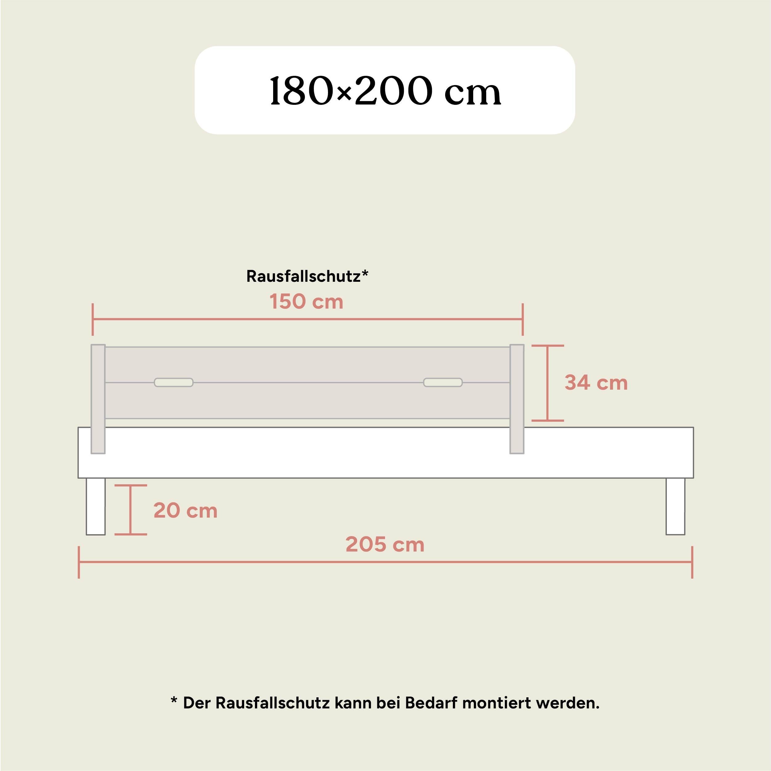 Familienbett Plano | Birke Transparent | 180x200 cm