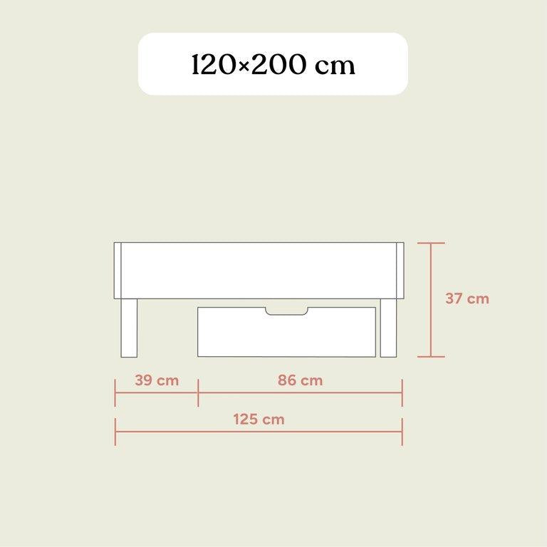 Familienbett Plano | Buche Natur | 120x200 cm