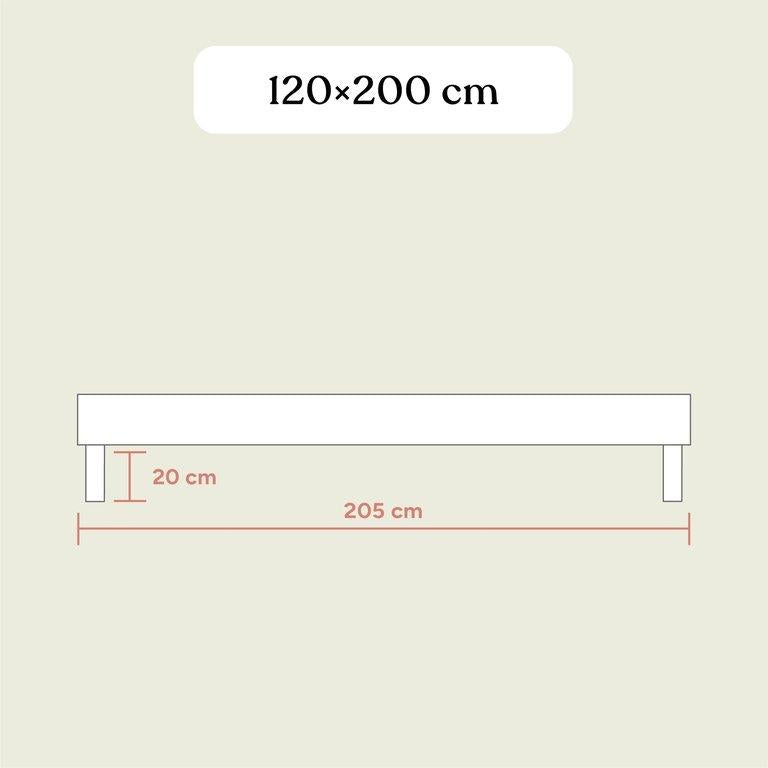 Familienbett Plano | Buche Natur | 120x200 cm