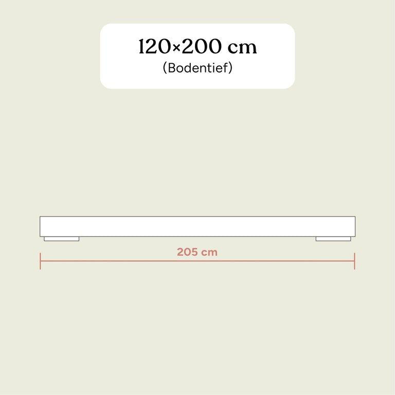 Familienbett Plano | Buche Natur | 120x200 cm