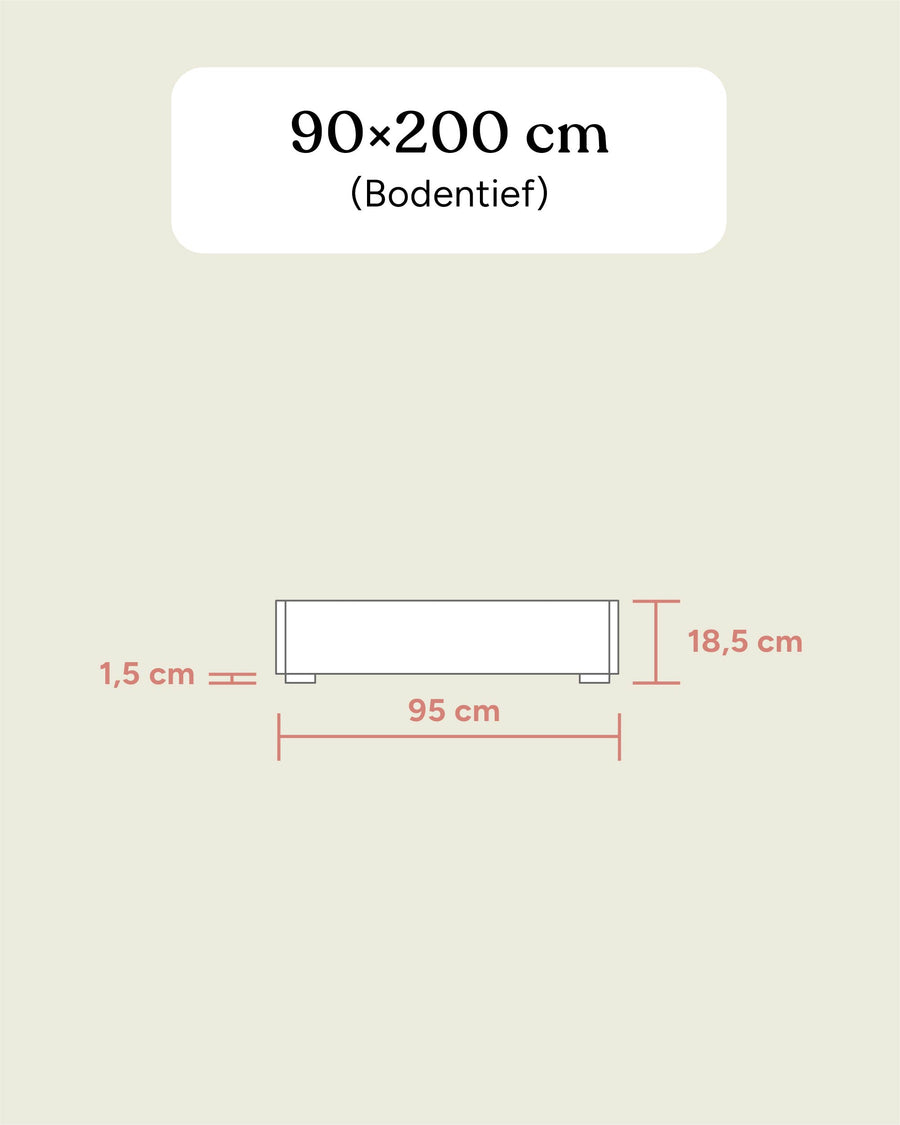 Einzelbett Plano | Buche | 90 × 200 cm