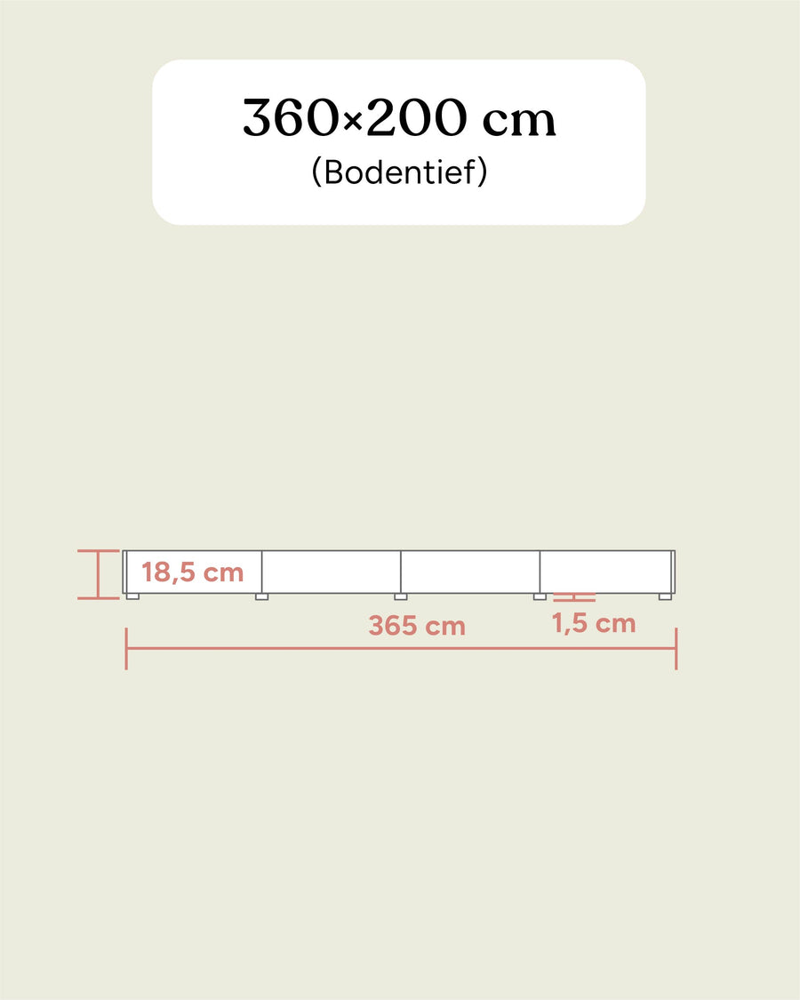 Familienbett Plano | Birke | 360 × 200 cm